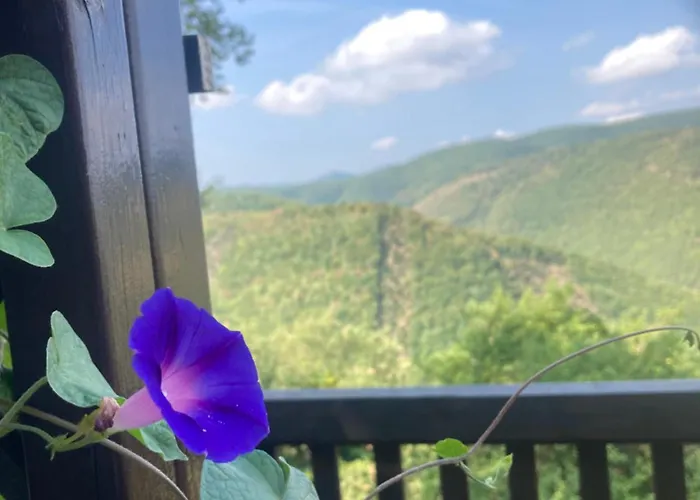 Agriturismo Becerca Vegan