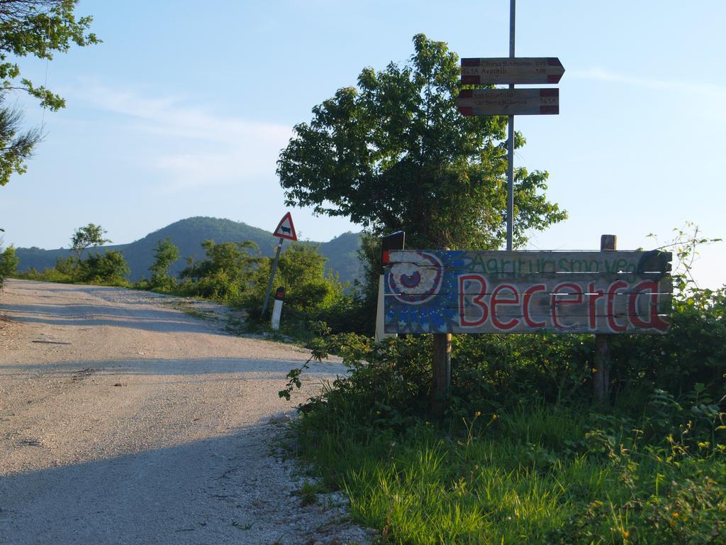 Séjour à la ferme Becerca Vegan Serra San Quirico