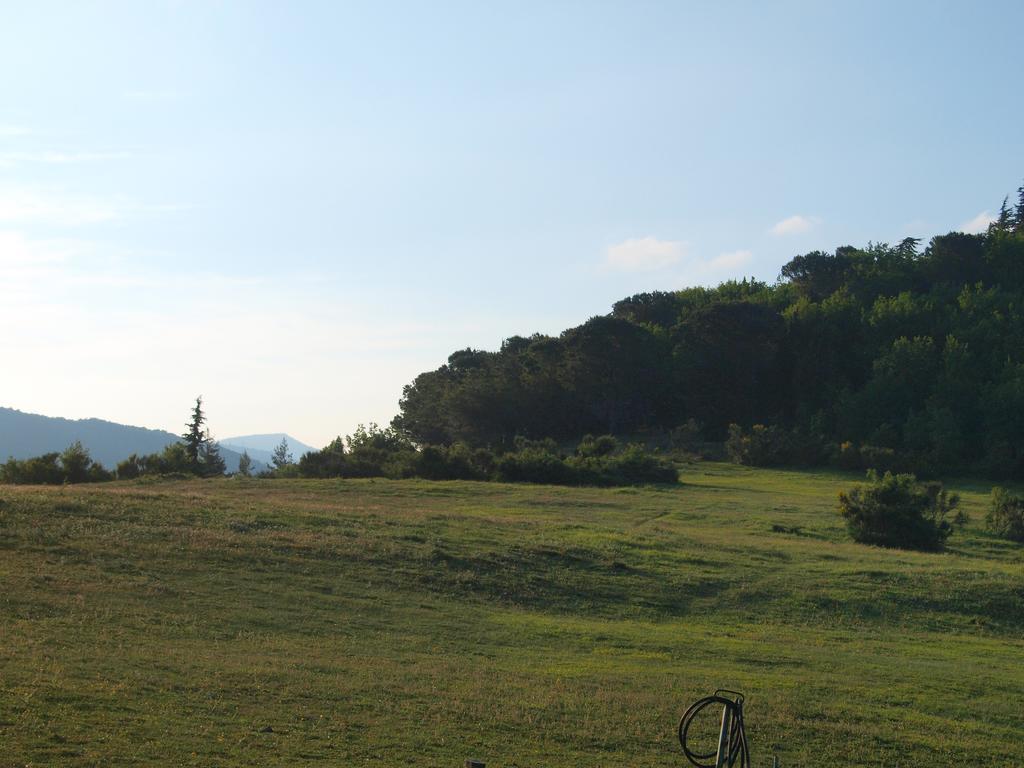 Becerca Vegan * Serra San Quirico