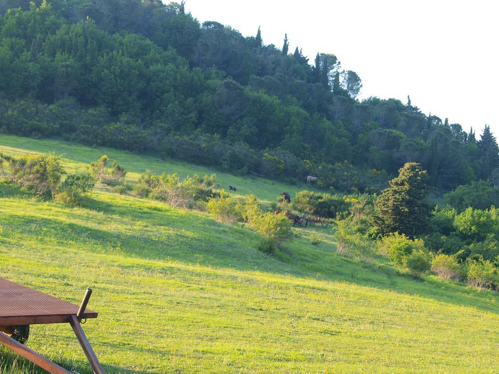 Becerca Vegan Séjour à la ferme Serra San Quirico