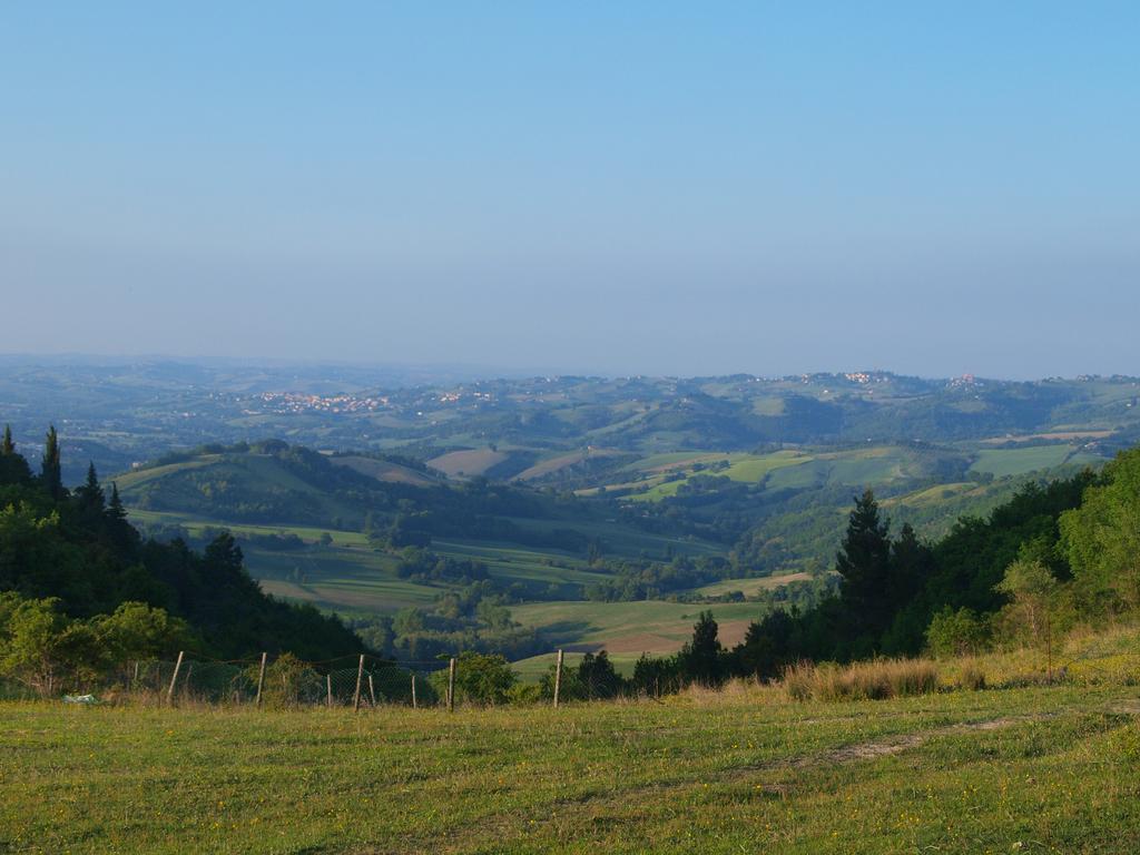 Becerca Vegan Serra San Quirico
