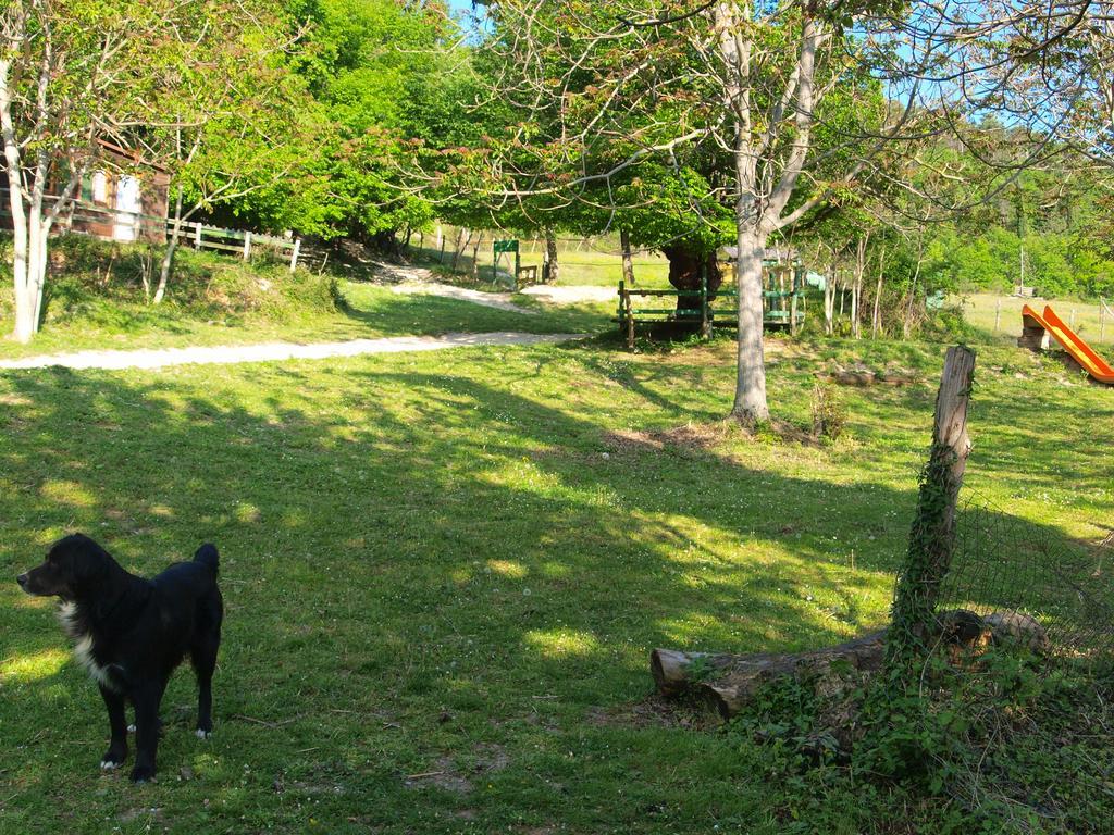Becerca Vegan Séjour à la ferme Serra San Quirico