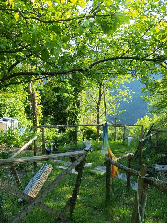 Becerca Vegan Séjour à la ferme *