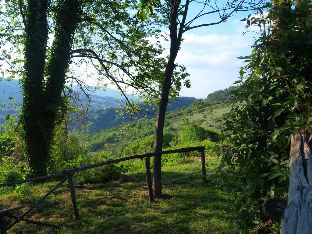Séjour à la ferme Becerca Vegan Serra San Quirico