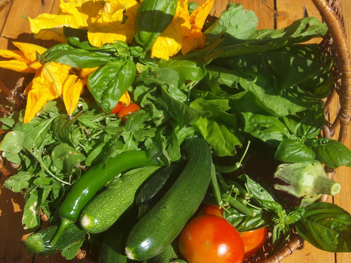 Becerca Vegan Séjour à la ferme *